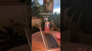 follow the sun - study with me while we wait for the sun to set