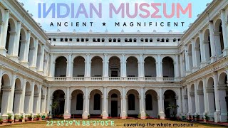 From Dinosaur to Mummies! Exploring Indian Museum Kolkata. You Won't Believe What's Inside.