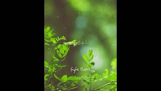 #lovebgm #love #lovestatus #love_status #love_whatsapp_status