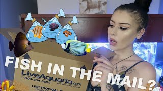 I Tried Ordering Live Fish in the Mail