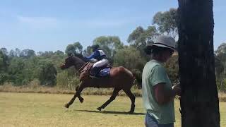 Sydney 3 Day Event || EVa65 Jnr