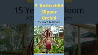 5 Rare flowers on earth wait till end #amazingfacts #shorts #backtobasic #rareflowers