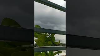 🌦️Rainy Vibes 💚🖤