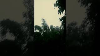 Nature whatsapp status|full screen|4k|#shorts #nature