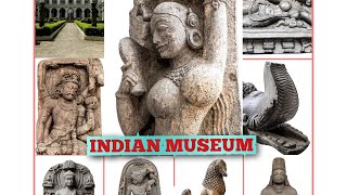 kolkata vlog | Indian museum Kolkata | museum | kolkata | VLOG #vlogs #kolkata #trending #vlog