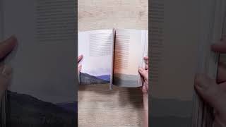 The One Year Bible New Testament | NLT | lakeside haven
