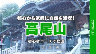 自然が豊かな高尾山へ！初心者コースで山頂まで行ってみた！