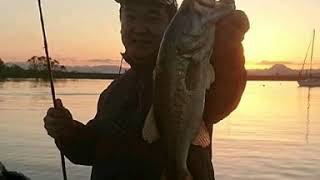 ある日・ある時の琵琶湖Fishing～～🎣🎣🎣 #biwakofishing #Bassfishing #tiktokfishing