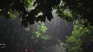 Heavy Rain & Thunderstorm Sounds | Enhance Your Focus and Relaxation with Minimal Distractions
