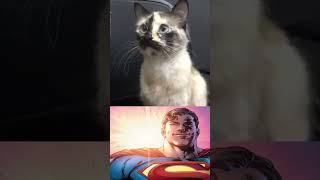 Cat Saves Babies Life From Fall! #cat #cats #catlover #hero #help #life #love #hope
