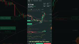 From $3 to $18: My Wild Crypto Trading Journey