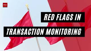 Decoding Suspicious Activities: Key Red Flags in Transaction Monitoring