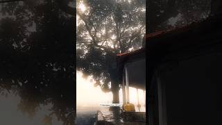 Tamia Hills❤️ #trending #travel #chhindwara #songlove #chhindwaradiary #love #tamia