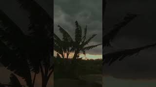 https://youtube.com/@minarrahmanofficial