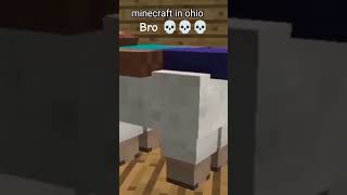 #master @masteroogwgay Minecraft in ohio