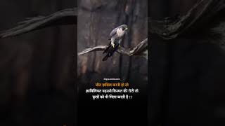 @gyaankibaatein           #safaltahub#hindimotivationalquotes#motivationalquotesinhindi #hindiinspir