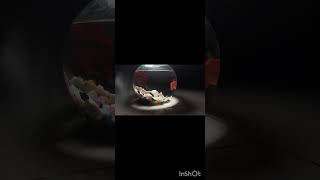 - Did you guys loved it?? #aquarium #bettafish
