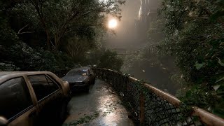 Ruins of the Earth | Pure Post-Human Ambient Music & Forgotten Landscapes | 4K