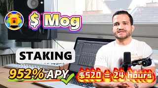 Dominate the Bull Market with Mog Stake – Top Crypto Farming Strategy