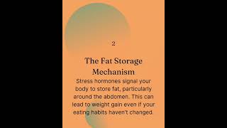Stress & Weight Gain – The Hidden Connection!👉  #BurnFatNaturally #HealthyMindHealthyBody