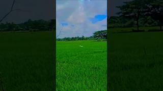 #banglalovesong #rakibsong #banglasong
