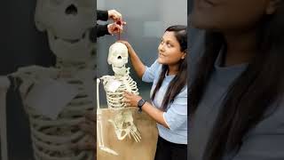 #biology #science #class 11