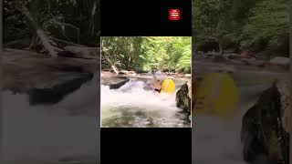 #funny  #funniestvideos  #funnyoffical