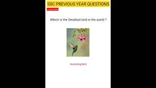 SSC Questions | Questions asked in various ssc exams | #shorts