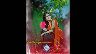 বাবোজি দিরে দিরে চলো 🔥🔥Baboji dire dire cholo Bangla Dj song #dildarmusicofficial #djsong #Banglason
