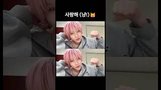 [앤팀/andteam] 사랑한다냥( ˆ• ﻌ •ˆ) =͟͟͞͞⊃ ﾆｬｰﾝ♡ #유마 #andTEAM #YUMA