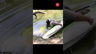 You can't stop laughing 15 #fails #funny  #funniestvideos  #funnyoffical