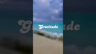 Take a moment now and be grateful|| What are you gratful for?