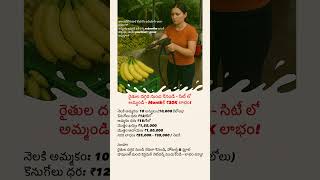 రైతుల దగ్గర నుంచి కొనండి – సిటీ లో అమ్మండి – Monthకి ₹30K లాభం! Banana business idea | lowinvestment