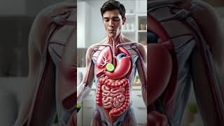 Inside the Human Body - Science in Motion#humanbody  #3danimation #digestivesystem