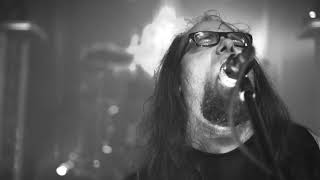 PERENNIAL ISOLATION - Woodshades Lifecode (OFFICIAL MUSIC VIDEO)