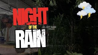 🌧️ Night of the Rain | Heavy Thunderstorm Sounds for Deep Sleep & Relaxation ⚡