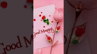Good Morning ❤️ #goodmorning #goodmoringlove