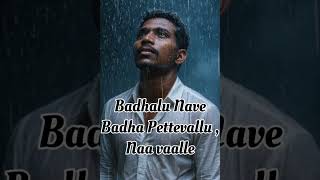 బాధలు నావే, బాధ పెట్టే వారు నవాళ్లే #podcast #funny #applemusic #photography #k #fortnite #meme #1m