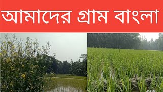 আমাদের এই গ্রাম বাংলা