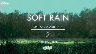 Soft Rain On Grass | NO ADS | Soothing Gentle Rain Sounds For Sleeping🌧
