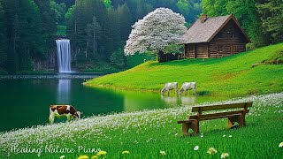 Healing Music for Inner Peace 🌿 Calm Nature Sounds for Stress Release & Deep Sleep, Relaxing Music