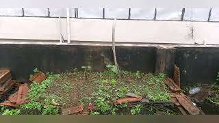 Lock doun special garden at terrace....
