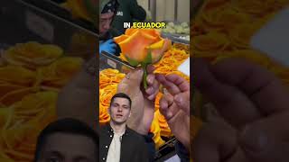 Preserved Flowers 💐     #NewYork #USA #English #businessideas #ideasforbusiness #businessideas