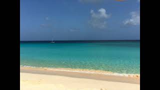 Lapping Ocean Waves / 10 Hours / #beachvibes #wavescrashing #fallasleepinstantly