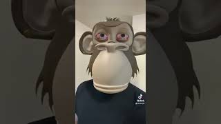 Nft monkey