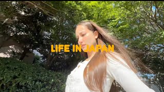 日本での生活、入院、ストレスを乗り越え、知床の自然に癒された1週間」Hospitalizations, Stress..and a Week of Shiretoko’s Nature🌿