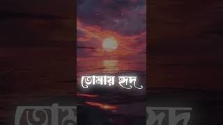 তোমায় হৃদ মাঝারে রাখবো ছেড়ে দেবো না 💫❤️