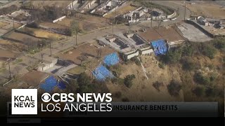 Wildfire survivors fight for insurance benefits eight months after Los Angeles wildfires