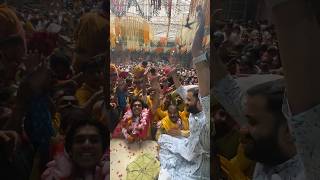 Vrindavan main hue unbelievable darshan 🥺❤️ #mihir #ytshorts #vrindavan #radheradhe #krishna