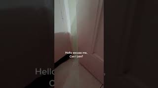 Kucing Lucu : halo bolehkah aku masuk? 😄